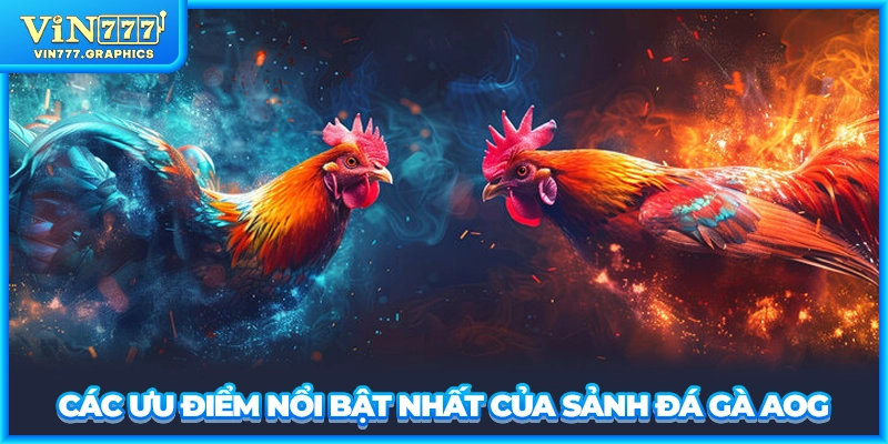 Các ưu điểm nổi bật nhất của sảnh đá gà AOG