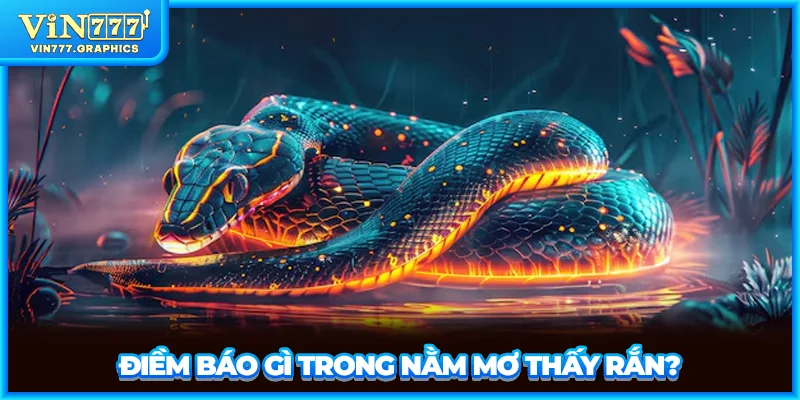 Điềm báo gì trong nằm mơ thấy rắn?
